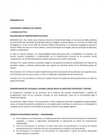 ENVIASEO E.S.P. COMPONENTE AMBIENTE DE CONTROL. Página 1