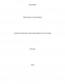 Instituto Distrital para el Desarrollo Integral Nueva Granada