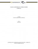 ENSAYO: AUDITORIA DEL CONTROL INTERNO