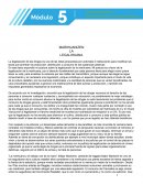 Un argumento a favor de la legalización de la marihuana, basado en el derecho individual