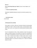 Matriz No. 1 sistematizaciones