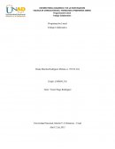 Matemática trabajo colaborativo