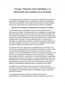 Relación entre estrategia y el desempeño del contador en la empresa