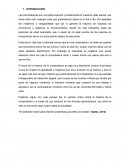 Historia de la computadora ensayo