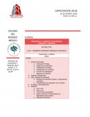 REPORTE DE CAPACITACIÓN CUMBRES TOLUCA JULIO