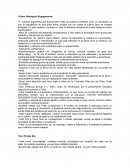 Buckminster Fuller y su vision de universo