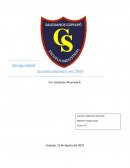 Desigualdad Socioeconómica en Chile