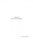 Formas de Autoría y participación