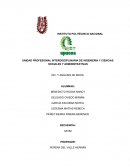 Healthy Lifestyle S.A De C.V