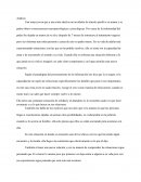 Analisis lo mejor de mi vida