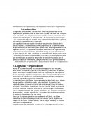 Administración de Operaciones y de Suministro dentro de la Organización 17