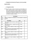 Designación del Gerente de Proyecto y nivel de autoridad