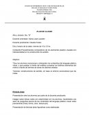 Contenido:Procedimientos compositivos de los elementos plastico visuales con intensionalidad en la construcción de sentido.