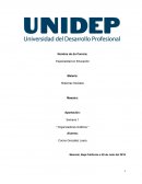ORGANIZADOR GRAFICO SISTEMA SOCIAL