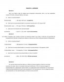 TALLER N°1 - EJERCICIOS