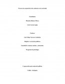 Proceso de aceptación de las minorías en la sociedad