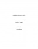 Control 3, Gestión de Calidad