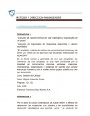 Metodo y direccion management