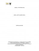 Epistemologia matematica