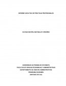 INFORME DE PRACTICAS PROFESIONALES