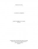 EL CIRCO DE LA MARIPOSA PROYECTO