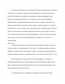 Gametos en macho y hembra