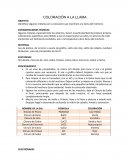 Identificar algunos metales por la coloración que imprimen a la llama del mechero.