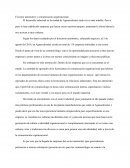 El sector automotriz y comunicación organizacional.