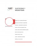 ELECTICIDAD Y MAGNETISMO - ACTIVIDAD