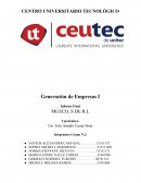 Generación de Empresas I Informe Final
