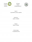 Taller de pictogramas y NFPA