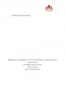 Communicacion organizacional