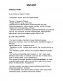 THE CIRCULATORY SYSTEM