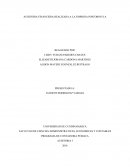 AUDITORIA FINANCIERA REALIZADA A LA EMPRESA POSTOBON S.A