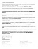 ENSAYO Y GUÍA DEL LIDERAZGO