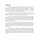 Tipos de Robots Investigación