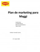 PLAN DE MARKETING Maggi