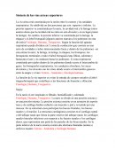 Sintesis de las vias aereas superiores