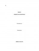 Perspectiva estrategica ENSAYO