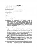 MARCA DE UN PRODUCTO EJEMPLO