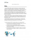 ENSAYO DE INGENIERIA EN CONTEXTO PEUL