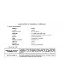 PLANIFICACIÓN DE DESARROLLO CURRICULAR