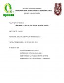 PRACTICA NUMERO 6: “ELABORACIÓN DE UN JABÓN DE TOCADOR”