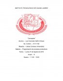 Programacion de procesos productivos