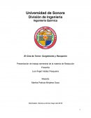 El Cine de Terror: Surgimiento y Recepción