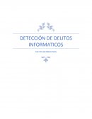 DETECCIÓN DE DELITOS INFORMATICOS