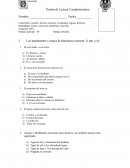 Prueba de Lectura Complementaria