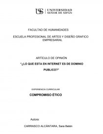 ¿LO QUE ESTA EN INTERNET ES DE DOMINIO PUBLICO?. Página 1