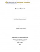 Clasificacion auditoria