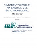 PROYECTO PROFECIONAL PRESENTADO POR : SAÚL EMMANUEL CRÚZ PABLO